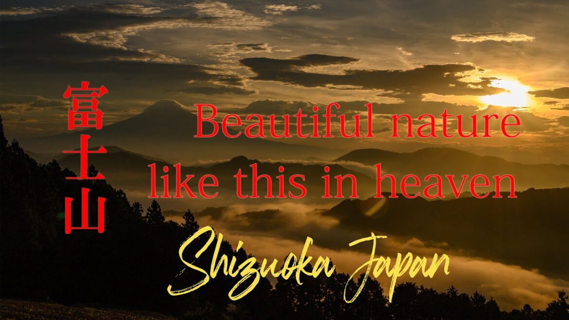 静岡 富士山 雲海 茶畑 日の出 　Shizuoka Mt Fuji, sea of clouds,Japanese tea plantation, sunrise　4K